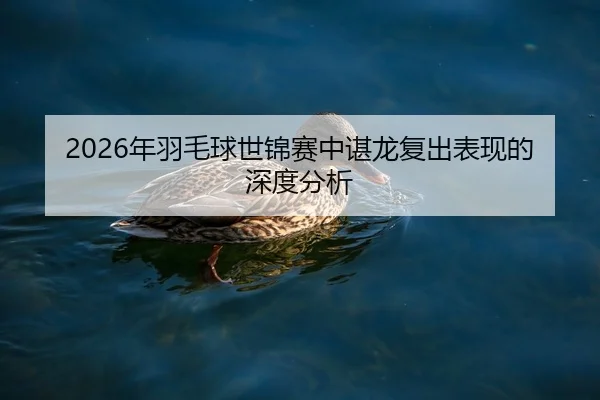 2026年羽毛球世锦赛中谌龙复出表现的深度分析