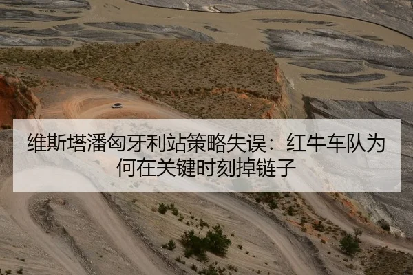 维斯塔潘匈牙利站策略失误：红牛车队为何在关键时刻掉链子