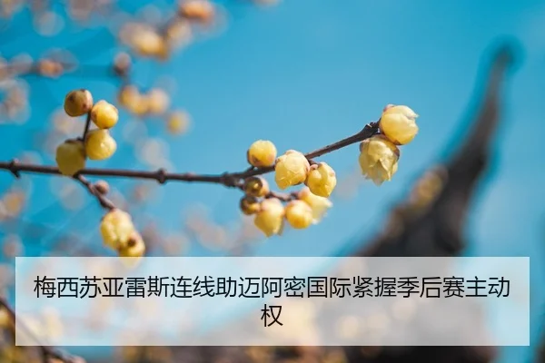 mei-xi-su-ya-lei-si-lian-xian-zhu-mai-a-mi-guo-ji-jin-wo-ji-hou-sai-zhu-dong-quan-2-253.jpg