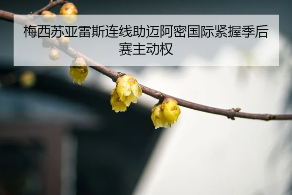 mei-xi-su-ya-lei-si-lian-xian-zhu-mai-a-mi-guo-ji-jin-wo-ji-hou-sai-zhu-dong-quan-3-424.jpg