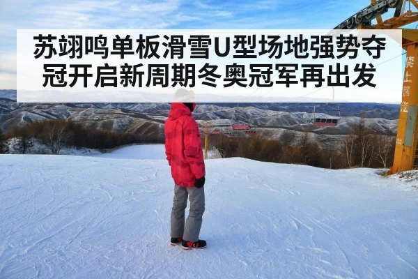 苏翊鸣单板滑雪U型场地强势夺冠开启新周期冬奥冠军再出发